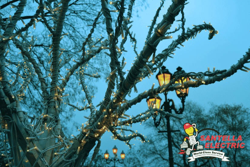 Tree With Winter Lights