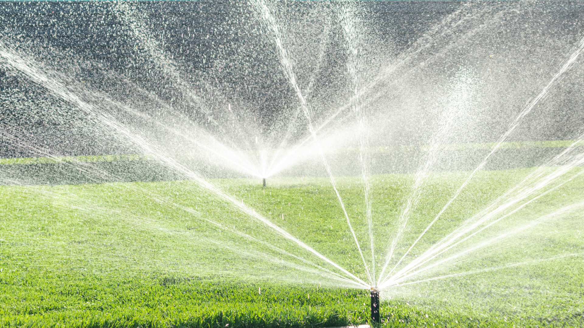 automatic sprinklers
